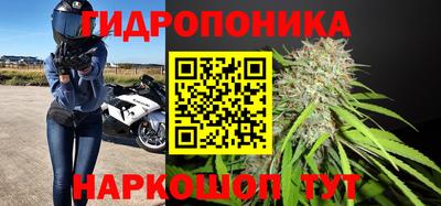 jwh Моздок
