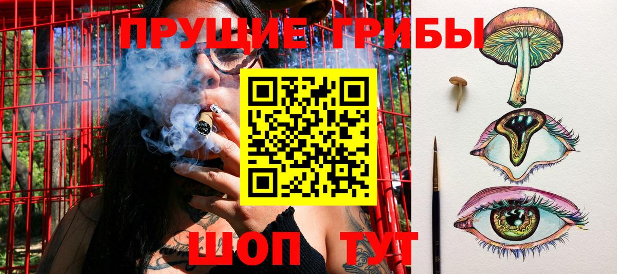 Галлюциногенные грибы Psilocybe  Псилоцибиновые грибы MAGIC MUSHROOMS  Вход с VPN  Соликамск 