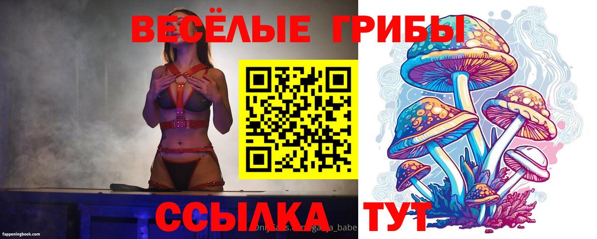 Псилоцибиновые грибы мицелий Соликамск