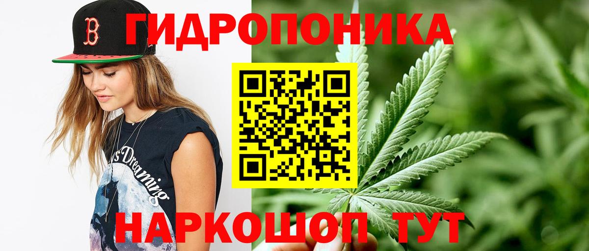 МАРИХУАНА конопля  Конопля семена  Соликамск  Каннабис семена  Вход с VPN 